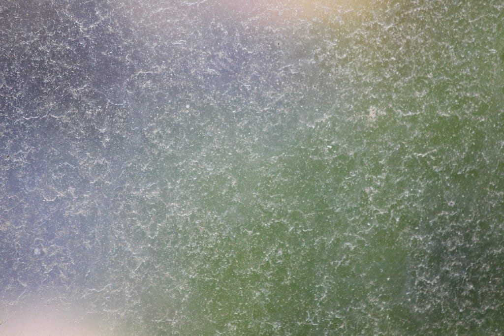 Pollen on window: Early allergen exposure and wheeze risk concept. Seasonal allergies and respiratory health.