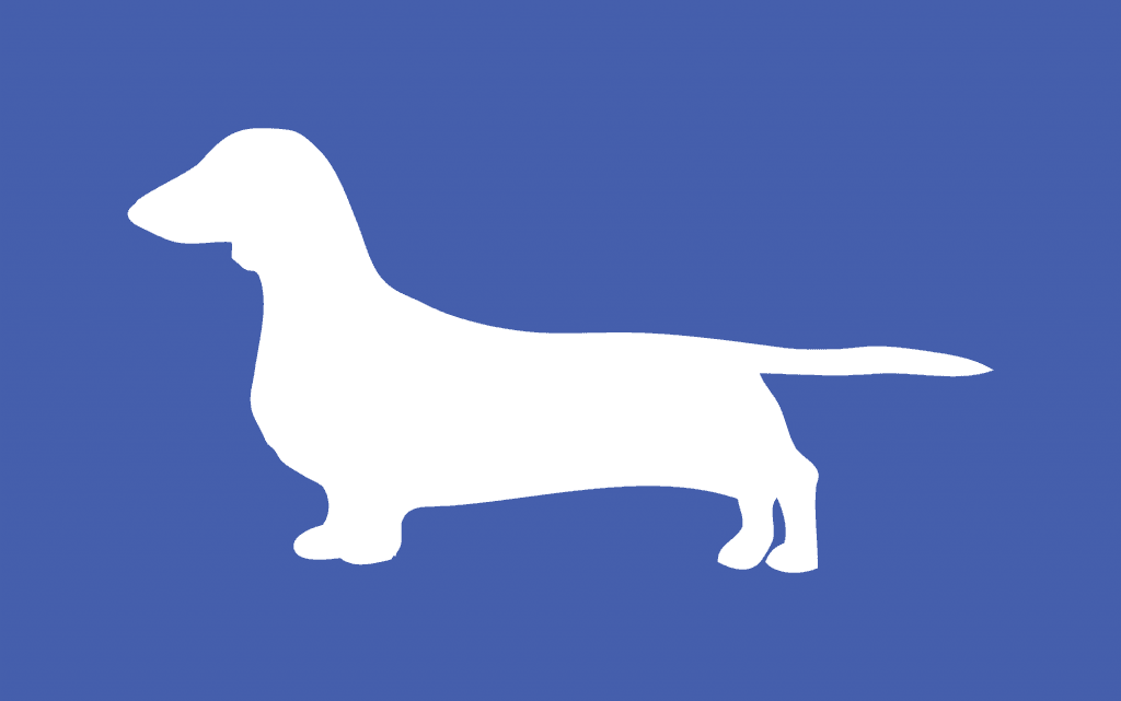 Oscar the Dog graphic: White dachshund silhouette on a blue background. A miraculous canine illustration.