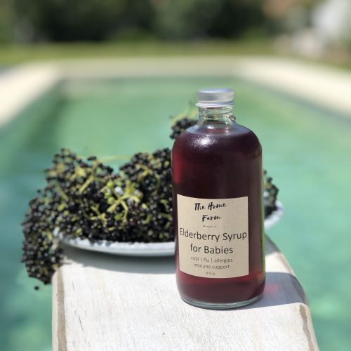 Elderberry Syrup for Babies